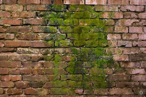 Brick Wall Drawing, Moss Texture, Brick Wall Decor, Apocalypse Landscape, Interrior Design, Brick Wall Texture, Old Brick Wall, Model Railway Track Plans, Brick Texture