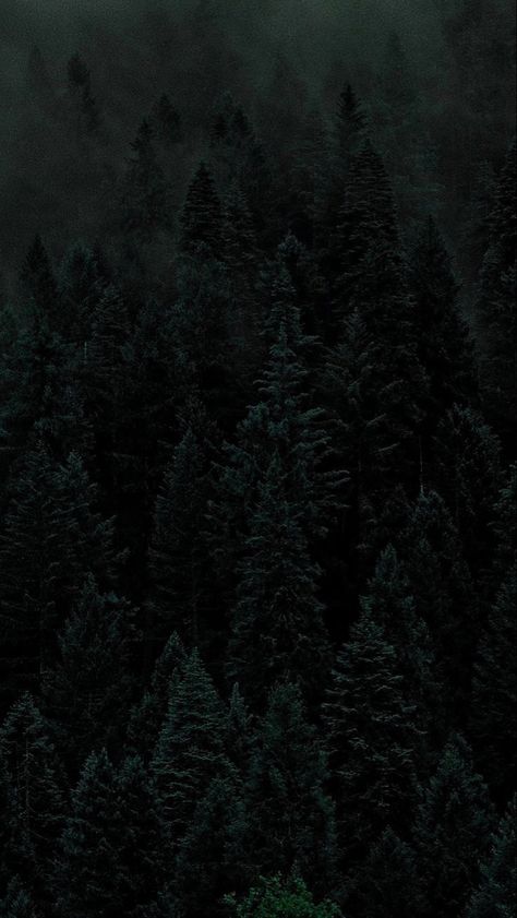 Forest Wallpaper Iphone, Green Nature Wallpaper, Dark Naturalism, Dark Forest Aesthetic, Dark Green Wallpaper, Dark Acadamia, Dark Nature, Gothic Wallpaper, Dark Green Aesthetic