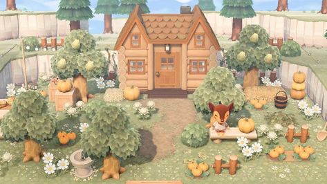 Animal Crossing’s Instagram photo: “Fauna's vacation home in the woods🍃🤎 #animalcrossingnewhorizons #animalcrossing #acnh #fauna #animalcrossinghappyhomeparadise #hhp…” Acnh Fauna, Woods Cottagecore, Lost Woods, Home In The Woods, Animal Crossing Game, May 31, In The Woods, Animal Crossing, Vacation Home