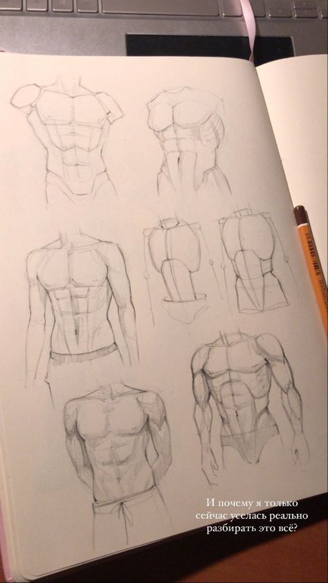 Male Torso Anatomy Drawing, Human Anatomy Art Male, Man Chest Drawing, Male Torso Drawing Tutorials, How To Draw Male Torso, Body Base Sketch Male, Male Hands Drawing, Male Back Drawing, Male Anatomy Sketch