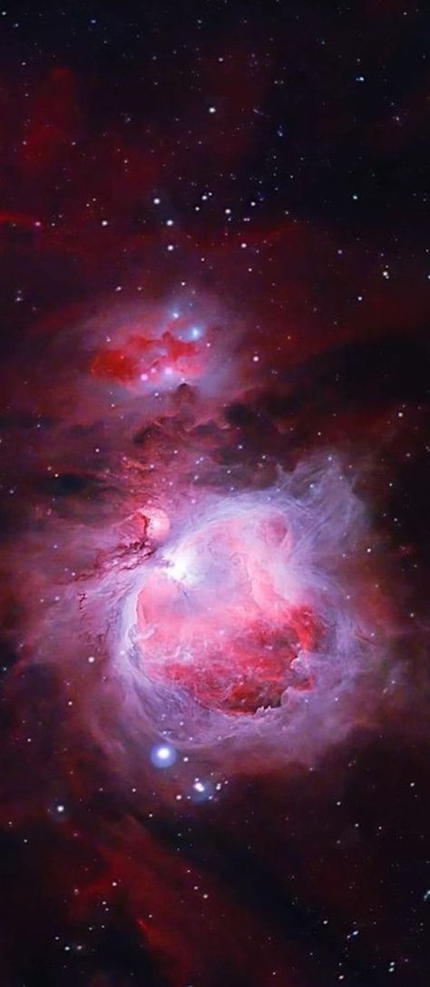 M42 Great Orión Nebula Nebula Character, Telescope Images, Orion Nebula, James Webb, James Webb Space Telescope, Space Telescope, Space And Astronomy, Space Travel, Astronomy