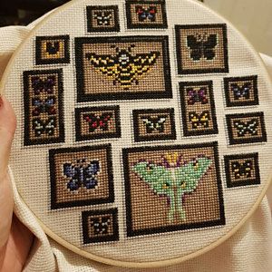 Luna Moth Cross Stitch, Moth Cross Stitch, Goth Moth, Gothic Cross Stitch, Butterfly And Moth, Gothic Cross, Beaded Cross Stitch, Luna Moth, Crochet Cross