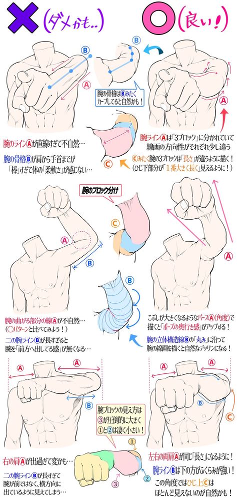 Perspective Drawing Lessons, Anatomy Tutorial, Human Anatomy Drawing, Body Drawing Tutorial, Manga Drawing Tutorials, Anime Drawing Books, Human Anatomy Art, Body Reference Drawing, 캐릭터 드로잉