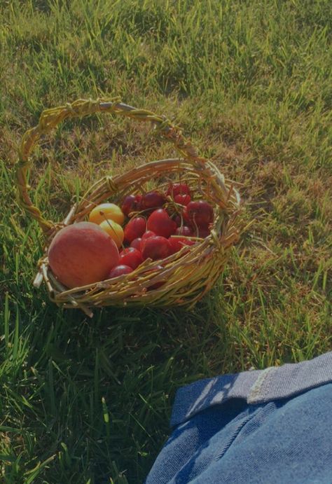 Fruit Orchard Aesthetic, Clay Kittens, Fruit Basket Aesthetic, Fruits Basket Aesthetic, Cottagecore Summer Aesthetic, Cottagecore Basket, Objectification Of Women, Indie Cottagecore, Cottagecore Summer