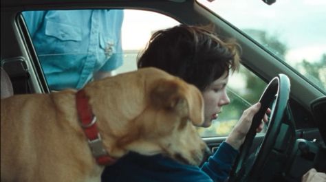 Wendy And Lucy, Cinematography, Pet, Film, Dogs, For Sale, Animals