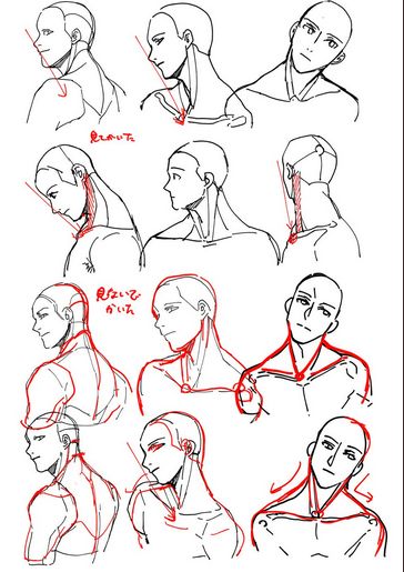 Draw Head, Comic Tutorial, 얼굴 드로잉, Body Drawing Tutorial, Drawing Heads, Human Anatomy Art, Anatomy Sketches, Body Reference Drawing, Drawing Expressions