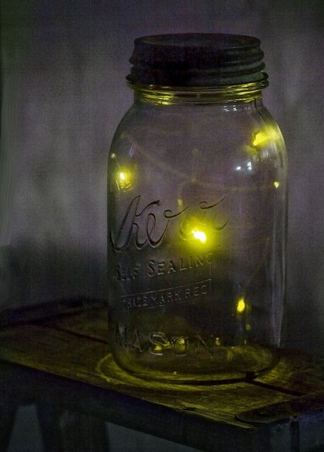 Catching lightening bugs out in the yard at night. (I am beyond ready for Summer so we can do this again. This winter is awful!) Lightening Bugs, Lighting Bugs, Fireflies In A Jar, Catching Fireflies, Canning Jars, Mason Jar Lamp, Do You Remember, The Good Old Days, Firefly