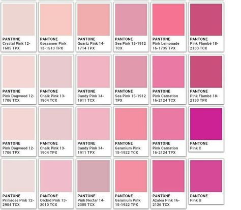 Raspberry Colour Palette, Coquette Color Palette, Pink Colour Palettes, Pink Color Chart, Wedding Colour Theme, Pink Colour Palette, Pantone Color Chart, Pantone Palette, Tout Rose