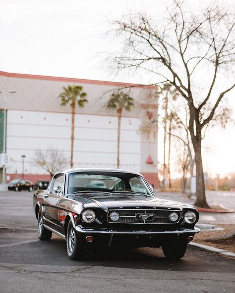 Mid-1960s Ford Mustang Fastback [OC] [2850x3563] - http://amzn.to/1bxGVMr | Dream cars, Mustang fastback, Ford mustang fastback Old Ford Mustang, Old Mustang, Black Mustang, Bmw Classic Cars, Ford Mustang Fastback, Real Car, Moto Cross, Mustang Fastback, Mustang Cars