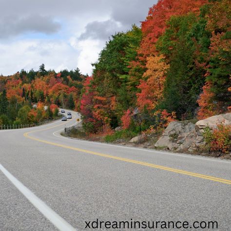 Drive along the Scenic Byway 12, which passes through gorgeous landscapes and offers numerous pullouts for photos. #drive #scenicbyway #xdreaminsurance Gorgeous Landscapes, Aaron Taylor, Scenic Byway, Drive, Instagram