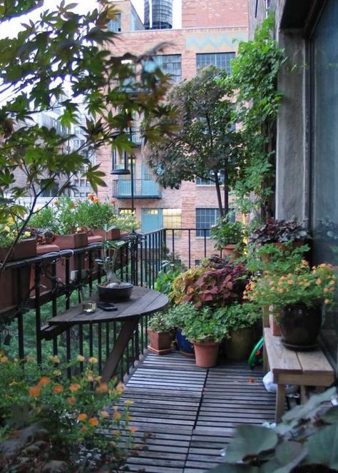 50 Amazing Balcony Garden Designs & Ideas - Farm.Food.Family French Balcony Ideas, Balcony Plants Ideas, Balcony Herbs, Balcony With Plants, Plant Organization, Garden Balcony Ideas, Plants Balcony, French Balcony, Rustic Outdoor Decor