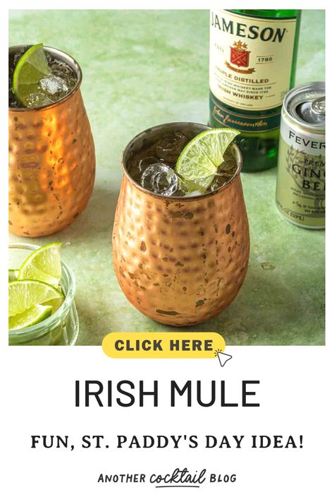 This simple, Irish mule recipe is the St. Patrick's day cocktail you didn't know you were missing. Made with Irish whiskey and fresh squeezed lime juice, served over ice and topped with ginger beer, this whiskey mule is supremely refreshing. Irish Mule Recipe, Whiskey Mule, Irish Mule, Bartending Tips, Irish Cheers, Mule Recipe, Peppermint White, Classic Cocktail Recipes, Winter Cocktails