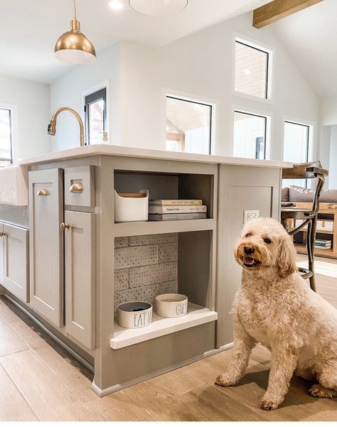 Dog Food Station, Kitchen Remodel Modern, Dog Kitchen, Small Kitchen Remodel, Cabinet Remodel, Kitchen Remodel Before And After, Remodel Kitchen, Kitchen Redo, Dream House Interior