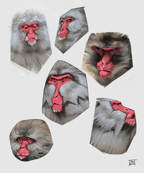 Mandrill Illustration, Monkey Art Illustration, Sketch Ideas Inspiration, Monkey Illustration, Snow Monkey, Monkey Art, Concept Artist, Animals Artwork, Character Design Animation