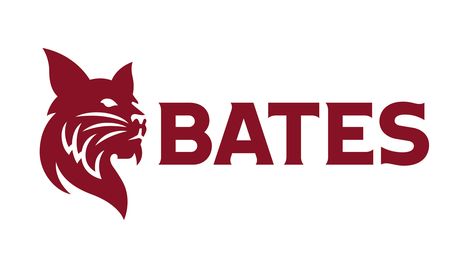 Bates College, Lewiston Maine, Sales Prospecting, Liberal Arts College, Marketing Analysis, Financial Modeling, Work Remotely, College Logo, Learning Strategies