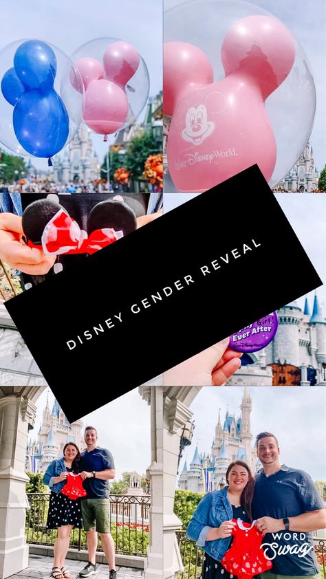 Disney Themed Gender Reveal Ideas, Disneyland Gender Reveal Ideas, Disney World Gender Reveal Ideas, Gender Reveal Ideas Disney, Disneyland Gender Reveal, Disney World Gender Reveal, Disney Gender Reveal Ideas, Gender Reveal At Disney World, Gender Reveal Ideas Mickey And Minnie