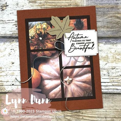 Stampinup Pumpkin Cards, Fall Cards Stampin Up Autumn 2023, Thanksgiving Stampin Up Card Ideas, Su All About Autumn Dsp, Stampin Up More Than Autumn Stamp Set, Stampin Up Autumn Expressions Cards, Su Splendid Autumn Cards, Su All About Autumn, Stampin Up Pumpkin Cards