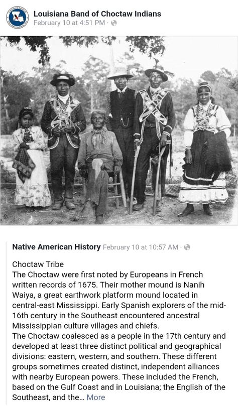 Choctaw Tribe, Choctaw Indian, Indigenous History, Choctaw Nation, Giant People, Black Buddha, Aboriginal American, American Indian History, Black Indians