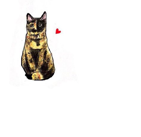 Tortoiseshell Cat Drawing, Siobhan Core, Tortie Cat Tattoo, Cat In A Box Drawing, Kintsugi Tattoo, Black Cat Drawing, Cat Graphic Design, Soft Kitty Warm Kitty, Cat Obsession