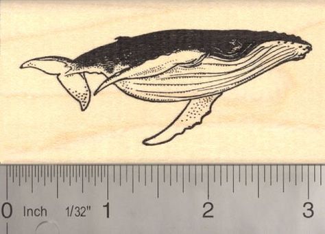 Humpback Whale Baleen Rubber Stamp *** To view further for this item, visit the image link. Whale Crafts, Baleen Whales, Happy Whale, Planner Vintage, Hand Carved Stamps, Book Stamp, Stamp Printing, Diy Stamp, Wood Stamp