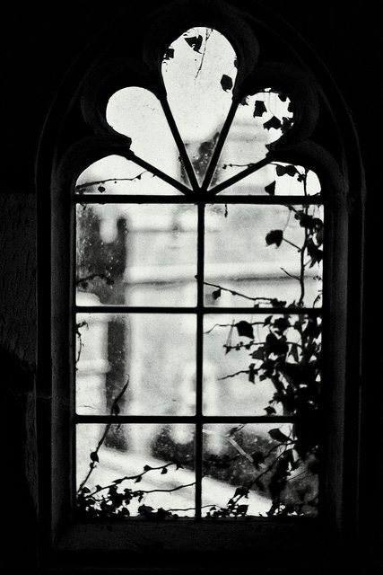 Looking through another spooky windows.... Spooky Window, Window Photography, 수채화 그림, Foto Art, Flickr Photos, Dark Matter, Through The Window, Black White Photos, Bw Photo