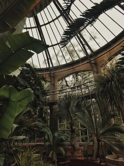 Sleeping in the Greenhouse is our green academia-inspired collection dedicated to students charmed by biology and earth sciences, especially botany, ecology, geobiology, mycology, and zoology. Sleeping in the Greenhouse is all about stolen moments of studying nature in nature, skiving class to nap, and dreaming big! 🍀📍 #GreenAcademia #Greenhouse #Nature #BotanicalGarden #Amsterdam #Green #Plants Greenhouse Dark Aesthetic, Dark Academia Greenhouse, Dark Greenhouse Aesthetic, Greenhouse Astethic, Shannon Core Aesthetic, Plant Core Aesthetic, Dark Greenhouse, Moody Greenhouse, Plant Academia