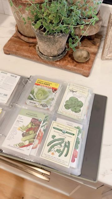 Seed Saver Storage, Seed Storage Binder, Seed Storage Ideas, Gardening Binder, Seed Binder, Organize Seeds, How To Store Seeds, Garden Seeds Packets, Photo Binder