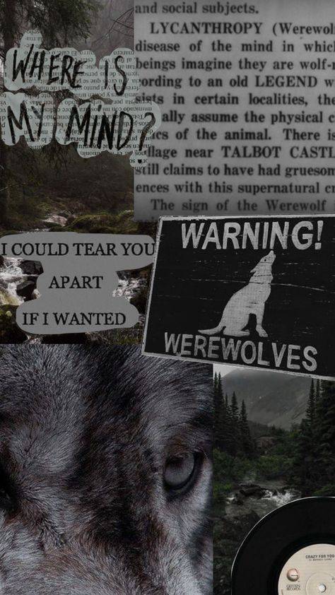 #werewolf #werewolfvibes #wolfaesthetic #night Werewolf Wallpaper Aesthetic, Werewolf Background, Wolf Core Aesthetic, Gothic Werewolf, Brown Wolf Aesthetic, Werewolf Pfp, Werewolf Aesthetic Wallpaper, Werewolf Tumblr, Werewolf Wallpaper