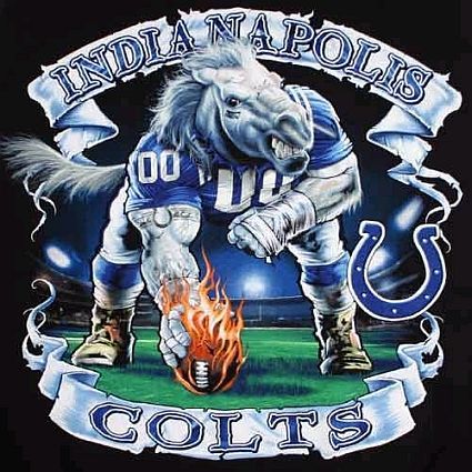 Indianapolis Colts Indianapolis Colts Logo, Nfl Colts, Indianapolis Colts Football, Colts Football, Seahawks Football, College Football Teams, Nfl Football Teams, Football Baby, Peyton Manning