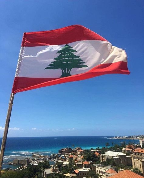 #Lebanon #Flag Lebanon Aesthetic Flag, Lebanon Flag Wallpaper, Lebanese Wallpaper, Lebanon Flag Aesthetic, Lebanon Quotes, Lebanon Wallpaper, Free Lebanon, Lebanon Aesthetic, Lebanon Tree