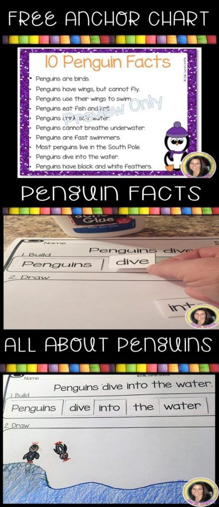 penguin-facts-for-kids Penguins Kindergarten, Science Kindergarten, Building Sentences, Penguin Facts, Winter Lesson Plan, All About Penguins, Non Fiction Writing, First Grade Writing, First Grade Activities