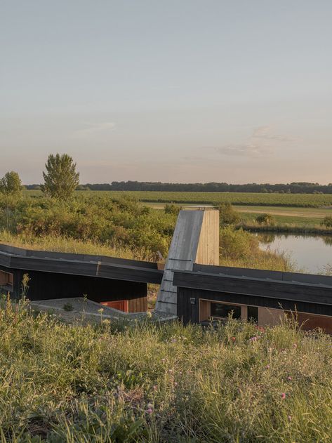 hello wood's CLT house gently peeks out amid rural flora in hungary Clt Building, Sunken House, Clt House, Cabin On Stilts, Wooden Facade, Forest Cabin, Sunrise And Sunset, Chief Architect, Wood Designs