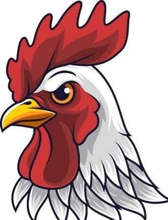 Cute Chicken Aesthetic, Aesthetic Chicken, Rooster Head, Chicken Aesthetic, Farm Aesthetic, Cartoon Rooster, Chicken Vector, Chicken Drawing, Rooster Painting