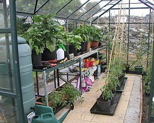 Greenhouse For Beginners, Growing In A Greenhouse, Greenhouse Tips, Greenhouse Shelves, Plants Greenhouse, Heating A Greenhouse, Greenhouse Shed, Greenhouse Ideas, Green Houses