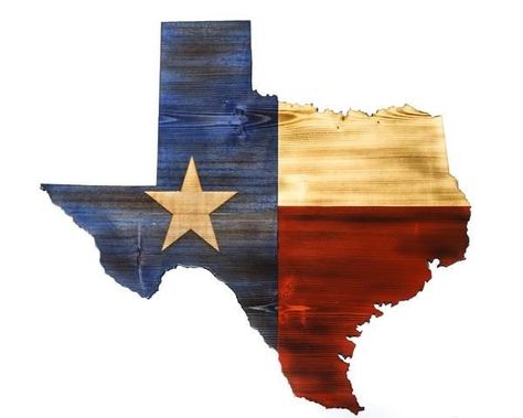 Blanka Street Fighter, Texas Outline, Texas Crafts, Texas Theme, Texas Tattoos, Flag Printable, Paintings Ideas, Texas Forever, Texas Map