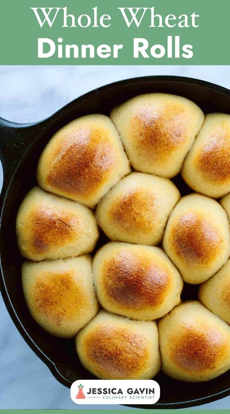 Easy+to+Make+Whole+Wheat+Dinner+Rolls+-+Only+one+rise+required+so+these+freshly+baked+rolls+will+be+a+quick+and+simple+homemade+bread+recipe.+#dinnerolls+#thanksgiving+#sidedish+#bread+via+@foodiegavin Best Roll Recipe, Simple Homemade Bread, Whole Wheat Dinner Rolls, Wheat Dinner Rolls, Thanksgiving Sidedish, Whole Wheat Rolls, No Yeast Dinner Rolls, Homemade Bread Recipe, Baking 101