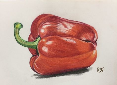 Pencil Sketching, Illusion Drawings, Garden Drawing, Pepper Color, Pastel Pencils, Guided Drawing, Color Pencil Drawing, Red Bell Pepper, Veggie Garden