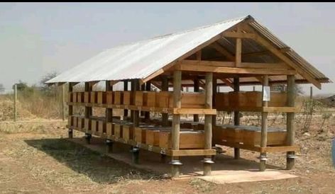 Bee Skep House, Apiary Design, Bee Hive Stand, Reban Ayam, Poultry Farm Design, Chicken Barn, Bee Hive Plans, Goat House, Poultry House