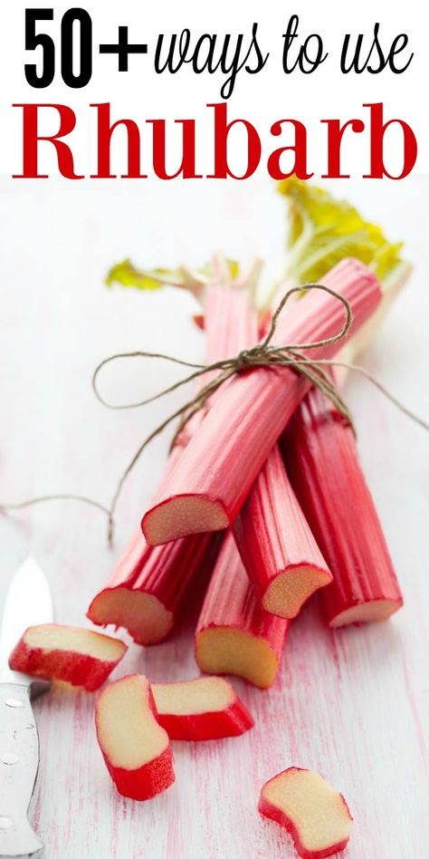 Healthy Rhubarb Recipes, Easy Rhubarb Recipes, Best Rhubarb Recipes, Freeze Rhubarb, Rhubarb Desserts, Rhubarb Cake, Healthy Recipes On A Budget, Rhubarb Recipes, Garden Recipes