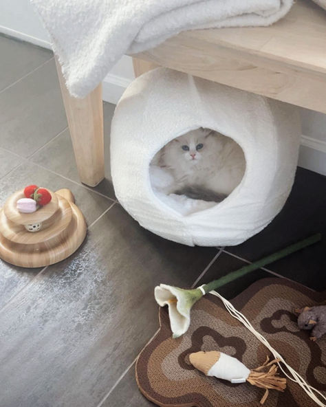 A kitty corner of pure bliss! @angwargo ‘s little one is living the dream, snuggled up in her cozy Moon Cat Cave and surrounded by playful touches like the Flora Wand and Bloom Scratcher. Cat dreams really do come true—and they can look this aesthetic too ☁️ Cat Homes, Kitty Corner, Dreams Really Do Come True, Scratcher Cat, Modern Cat Furniture, Living With Cats, Moon Cat, Aesthetic Cat, Cat Cave