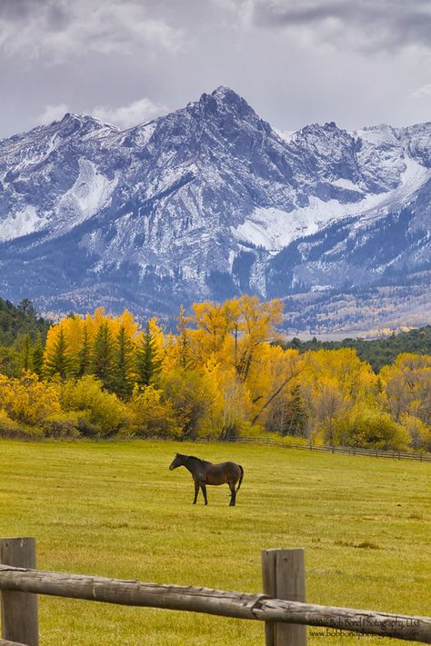 Places In The World, Beautiful Places In The World, A Horse, Most Beautiful Places, Beautiful Places, Colorado, Most Beautiful, Horses, The World