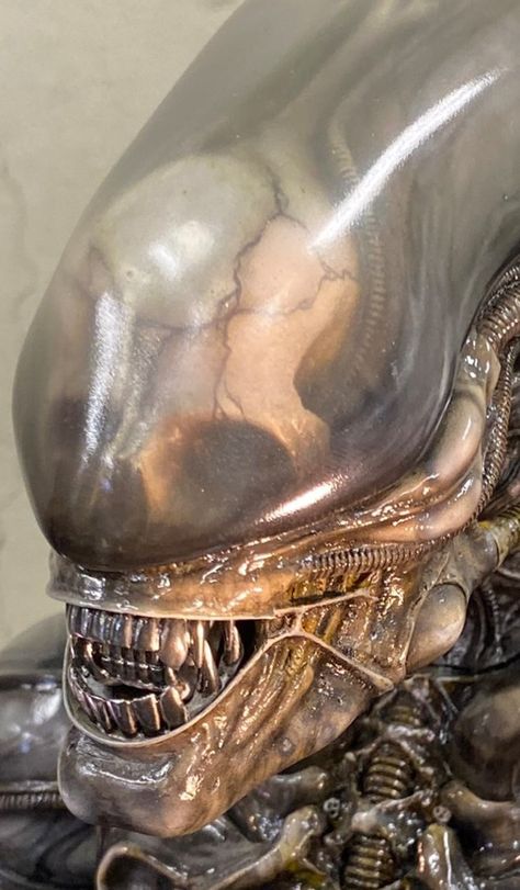 Hr Giger Alien, Aliens Movie Art, Hr Giger Art, Giger Alien, Alien Photos, Predator Alien Art, Giger Art, H.r. Giger, Alien Skull