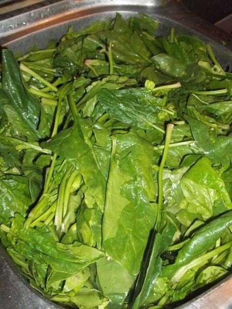 SPINACH PKHALI | Georgian Recipes Different Types Of Leaves, Georgian Recipes, Types Of Leaves, Georgian Food, Healthy Products, Us Foods, Spinach, Nuts