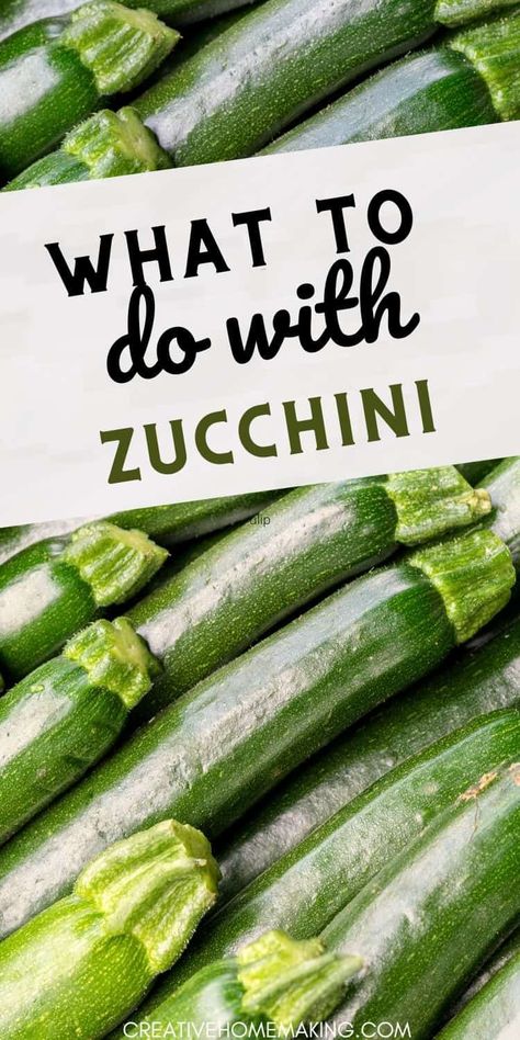 Get inspired with these tasty ways to use zucchini! Whether you're making savory fritters, refreshing salads, or decadent zucchini bread, this versatile vegetable can elevate any dish. Explore our collection of easy and delicious recipes that celebrate the goodness of zucchini! What To Make With Zucchini Recipes, Zucchini Boats Recipes, Fresh Zucchini Recipes, What To Do With Zucchini, Savory Fritters, What To Make With Zucchini, Refreshing Salads, Freezing Zucchini, Stuffed Zucchini Boats