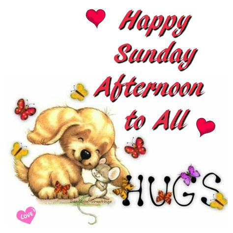 Enjoy Your Sunday Images, Good Afternoon Sunday Images, Happy Sunday Afternoon Quotes, Sunday Afternoon Greetings, Sunday Afternoon Blessings, Good Afternoon Happy Sunday, Sunday Afternoon Quotes, February Greetings, Happy Sunday Afternoon