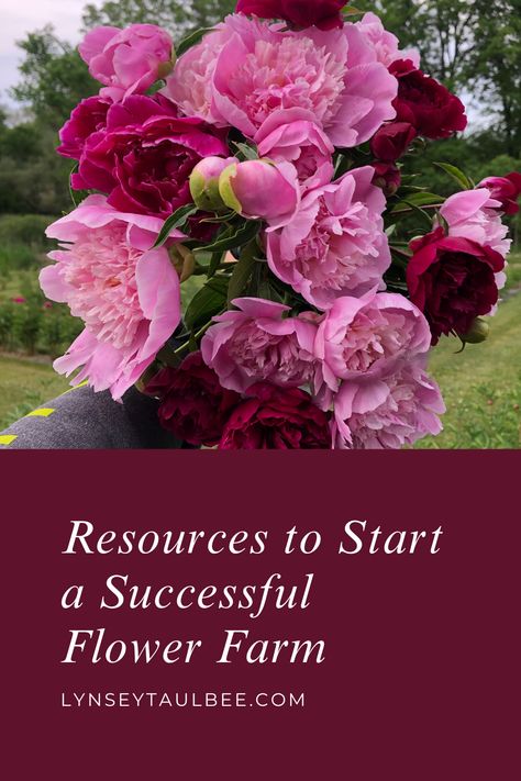 Cut Flower Business, How To Start A Flower Farm, Flower Farm Business, Flower Farming, Starting A Flower Farm, Flower Farming Business Plan, Flower Farm Layout, How To Start A You Pick Flower Farm, Peony Farm