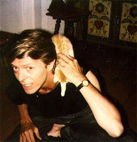 David Bowie chilling with a kitten. Bowie Cat, Celebrities With Cats, Men With Cats, Major Tom, Ziggy Stardust, Cat People, Crazy Cat Lady, David Bowie, Cool Cats