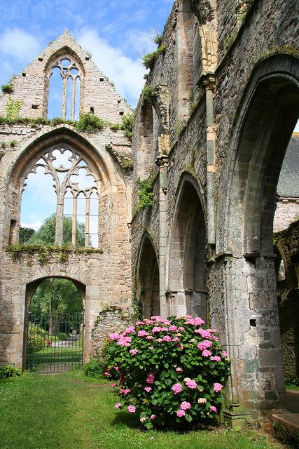 Abbaye de Beauport, France by octopuzz on flickr Garden Follies Ruins, Gothic Ruins, Medieval Abbey, Roman Ruins In France, Flower Bush, Beynac-et-cazenac France, Magic Places, Abandoned Chateau France, Nature Architecture