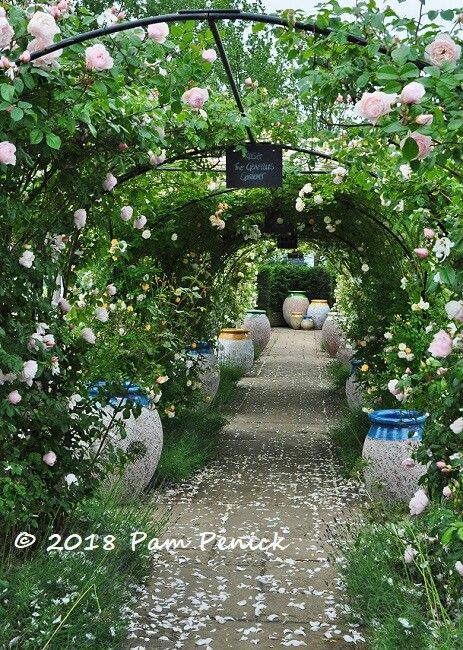 Milk Jug Garden, Milk Jugs Garden, Burford Garden Company, Tudor Manor, Manor Interior, Growing Organic Tomatoes, Organic Gardening Pest Control, Gardening Photography, Gardening Videos