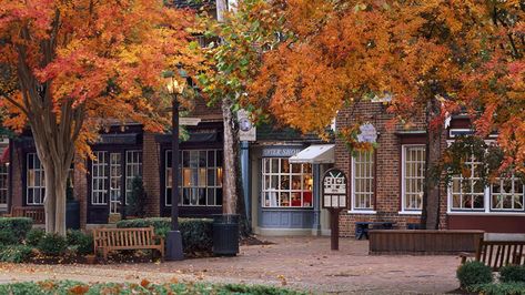 Virginia Fall, Colonial Times, Williamsburg Virginia, College Aesthetic, William And Mary, Williamsburg Va, College Town, Colonial Williamsburg, Savannah Georgia